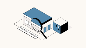 Private Company Overview